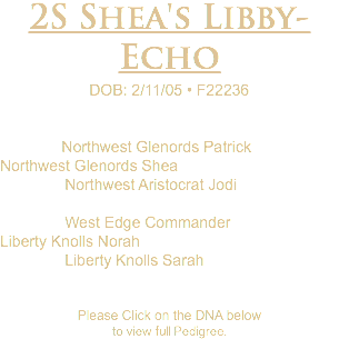 2S Shea's Libby-Echo DOB: 2/11/05 • F22236 Northwest Glenords Patrick Northwest Glenords Shea Northwest Aristocrat Jodi West Edge Commander Liberty Knolls Norah Liberty Knolls Sarah Please Click on the DNA below to view full Pedigree.