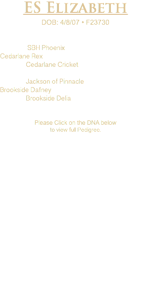 ES Elizabeth DOB: 4/8/07 • F23730 SBH Phoenix Cedarlane Rex Cedarlane Cricket Jackson of Pinnacle Brookside Dafney Brookside Delia Please Click on the DNA below to view full Pedigree.