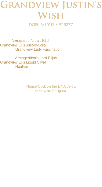 Grandview Justin's Wish DOB: 5/19/13 • F26377 Armageddon's Lord Elijah Grandview Eli's Just-In-Step Grandivew Lady Fascination Armageddon's Lord Elijah Grandview Eli's Liquid Silver Healher Please Click on the DNA below to view full Pedigree.