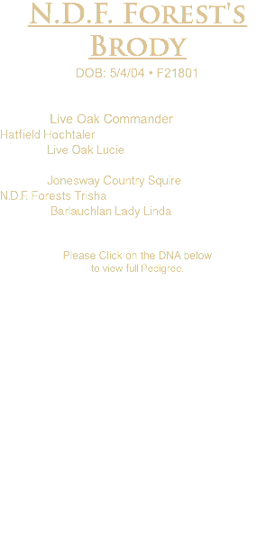 N.D.F. Forest's Brody DOB: 5/4/04 • F21801 Live Oak Commander Hatfield Hochtaler Live Oak Lucie Jonesway Country Squire N.D.F. Forests Trisha Barlauchlan Lady Linda Please Click on the DNA below to view full Pedigree.