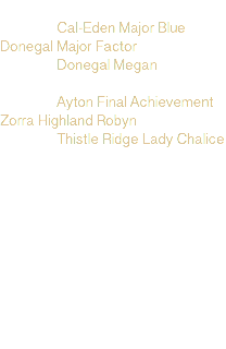  Cal-Eden Major Blue Donegal Major Factor Donegal Megan Ayton Final Achievement Zorra Highland Robyn Thistle Ridge Lady Chalice