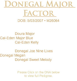 Donegal Major Factor DOB: 5/03/2007 • M26064 Doura Major Cal-Eden Major Blue Cal-Eden Kelly Donegal Joe Nine Lives Donegal Megan Donegal Sweet Melody Please Click on the DNA below to view full Pedigree. 