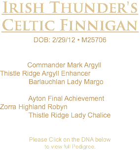 Irish Thunder's Celtic Finnigan DOB: 2/29/12 • M25706 Commander Mark Argyll Thistle Ridge Argyll Enhancer Barlauchlan Lady Margo Ayton Final Achievement Zorra Highland Robyn Thistle Ridge Lady Chalice Please Click on the DNA below to view full Pedigree.